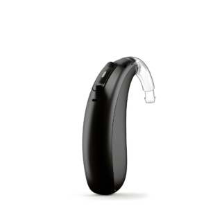 Behind-The-Ear (BTE)